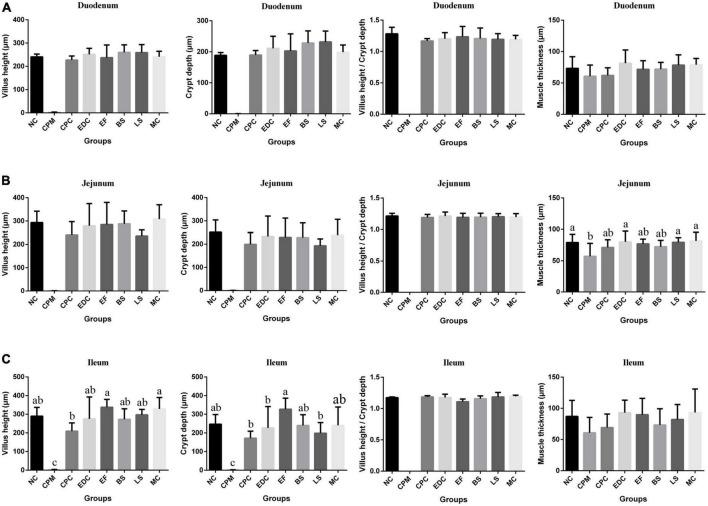 https://cdn.ncbi.nlm.nih.gov/pmc/blobs/ea4a/10149710/6ee3adcb6c3a/fmicb-14-1177232-g003.jpg