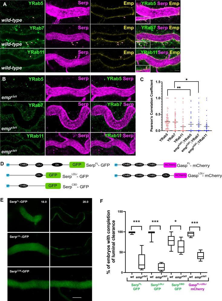 https://cdn.ncbi.nlm.nih.gov/pmc/blobs/ea4b/10564452/fc2d6c2980d6/elife-84974-fig3.jpg