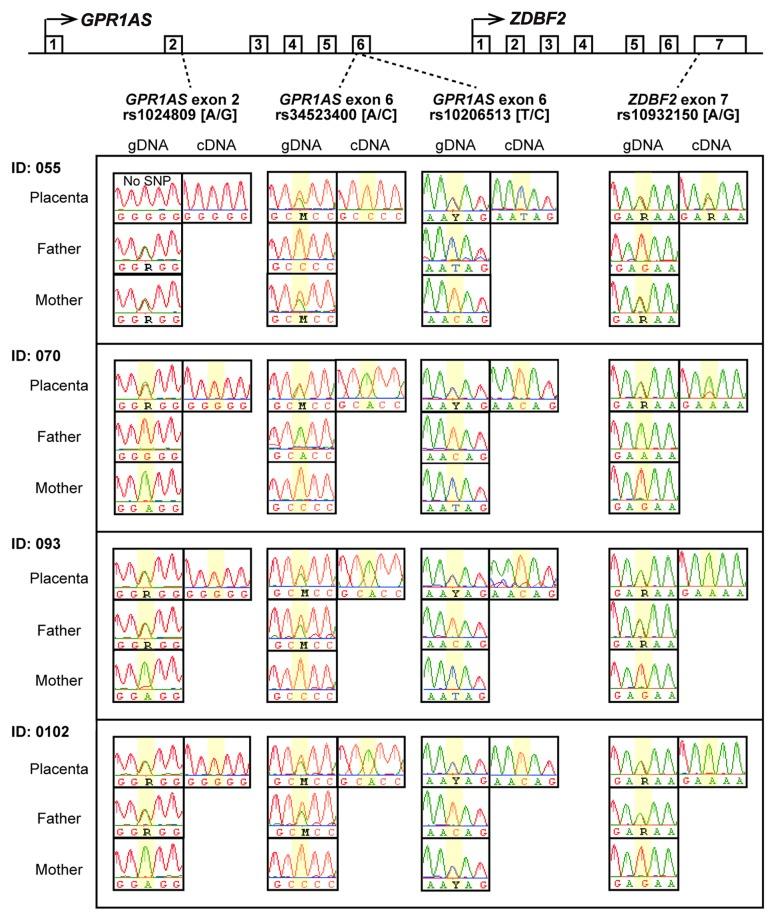 https://cdn.ncbi.nlm.nih.gov/pmc/blobs/ea4c/3857343/8848c0414dbb/epi-8-635-g3.jpg