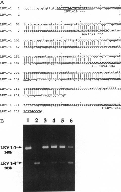 https://cdn.ncbi.nlm.nih.gov/pmc/blobs/ea4c/45954/4bc0bf7ccbfc/pnas01464-0112-a.jpg