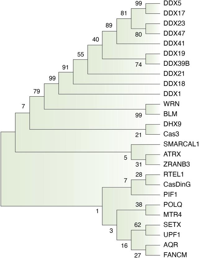 https://cdn.ncbi.nlm.nih.gov/pmc/blobs/ea50/10641170/952b0e6159fb/gr4.jpg