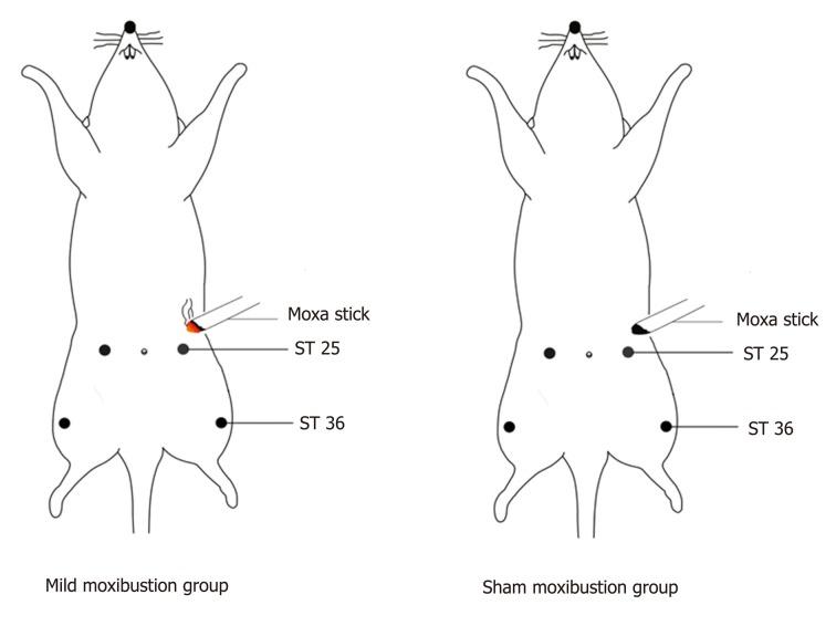 https://cdn.ncbi.nlm.nih.gov/pmc/blobs/ea51/6718040/099db69b9bef/WJG-25-4696-g001.jpg