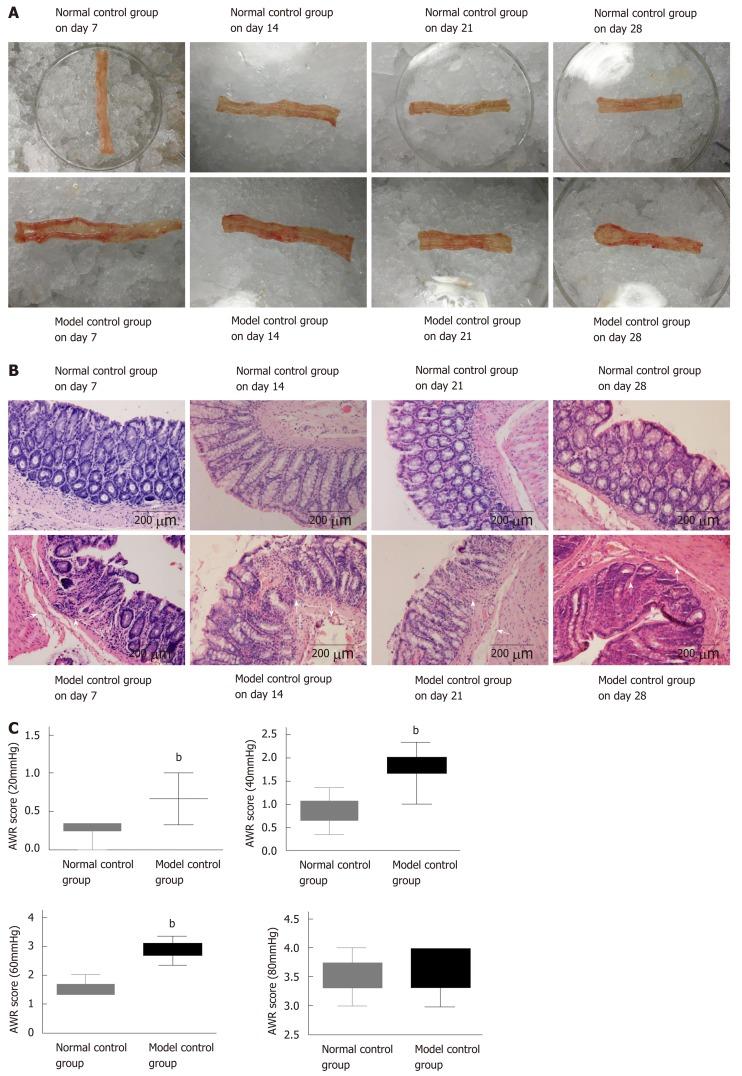 https://cdn.ncbi.nlm.nih.gov/pmc/blobs/ea51/6718040/c210b34b8a44/WJG-25-4696-g002.jpg