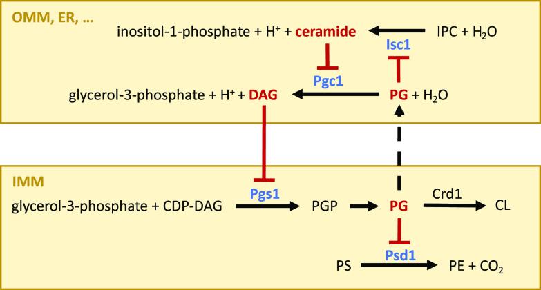 https://cdn.ncbi.nlm.nih.gov/pmc/blobs/ea51/9769635/ac133d8c6b0e/spectrum.02489-22-f005.jpg