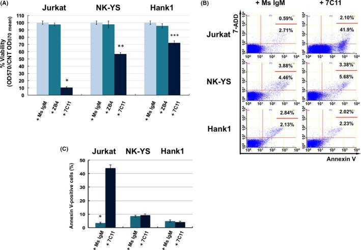 https://cdn.ncbi.nlm.nih.gov/pmc/blobs/ea54/7060462/69a1e85b0997/CAS-111-807-g002.jpg