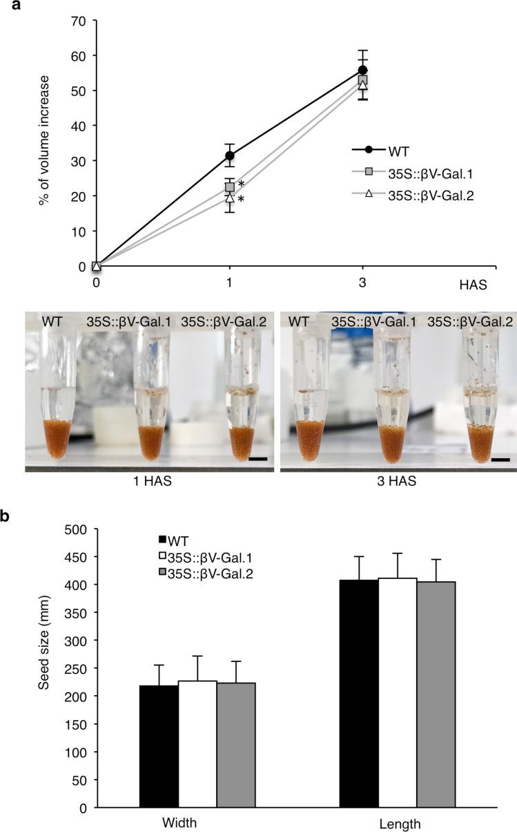 https://cdn.ncbi.nlm.nih.gov/pmc/blobs/ea55/12103386/529ac39bf974/425_2025_4717_Fig6_HTML.jpg
