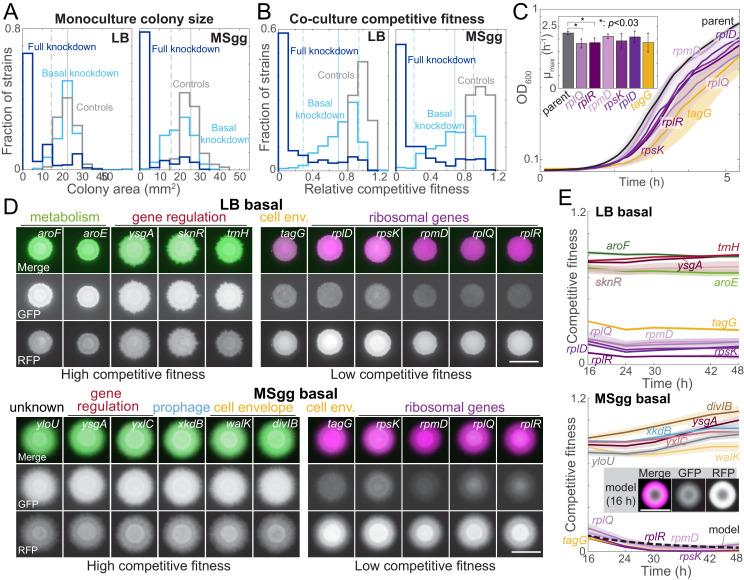 https://cdn.ncbi.nlm.nih.gov/pmc/blobs/ea56/7925131/cd24b4bb1a53/elife-64145-fig2.jpg