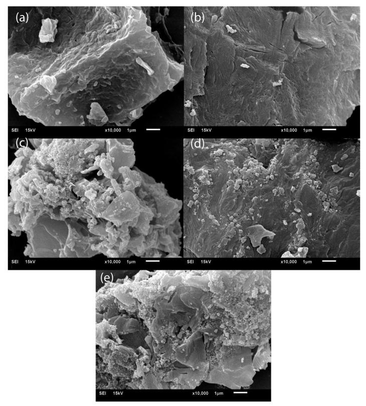 https://cdn.ncbi.nlm.nih.gov/pmc/blobs/ea57/12196626/9522edd90afb/polymers-17-01713-g008.jpg
