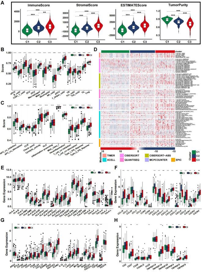https://cdn.ncbi.nlm.nih.gov/pmc/blobs/ea58/12328357/d0df7a3131dd/fimmu-16-1572701-g004.jpg