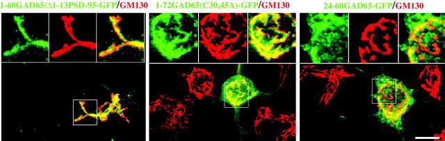 https://cdn.ncbi.nlm.nih.gov/pmc/blobs/ea58/2173248/b185f203fb7c/200205053f8.jpg