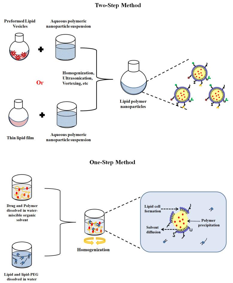https://cdn.ncbi.nlm.nih.gov/pmc/blobs/ea59/10531762/2b335e2ca61e/jfb-14-00437-g002.jpg