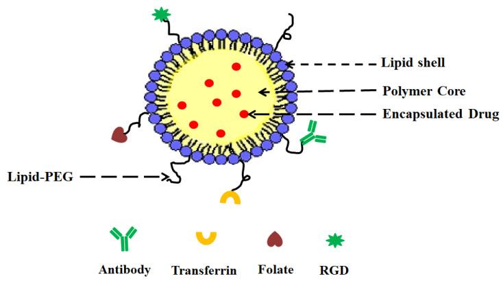 https://cdn.ncbi.nlm.nih.gov/pmc/blobs/ea59/10531762/4fff27bd3874/jfb-14-00437-g001.jpg