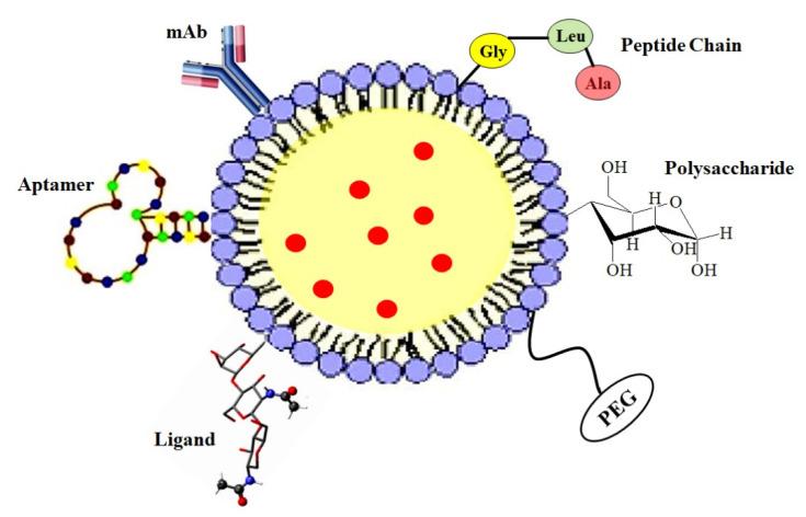 https://cdn.ncbi.nlm.nih.gov/pmc/blobs/ea59/10531762/c58343f3c3e5/jfb-14-00437-g005.jpg