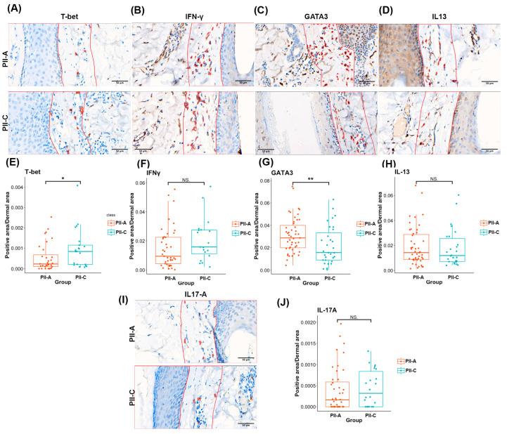https://cdn.ncbi.nlm.nih.gov/pmc/blobs/ea59/11354591/0cc6225f166d/ijms-25-09031-g006.jpg