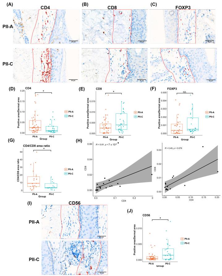 https://cdn.ncbi.nlm.nih.gov/pmc/blobs/ea59/11354591/321ef4ed5914/ijms-25-09031-g005.jpg
