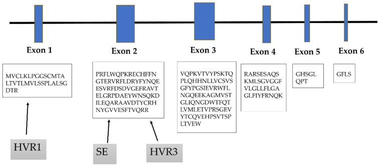 https://cdn.ncbi.nlm.nih.gov/pmc/blobs/ea59/7291248/31635dab0eae/cells-09-01127-g004.jpg