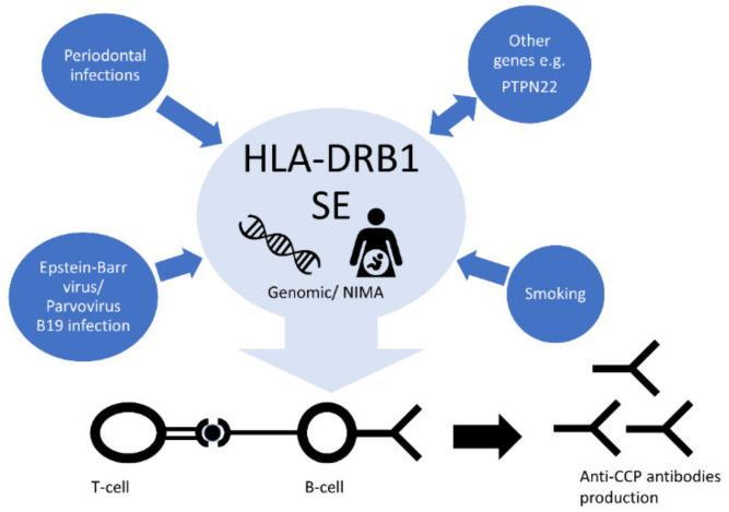 https://cdn.ncbi.nlm.nih.gov/pmc/blobs/ea59/7291248/9e83c43aad8c/cells-09-01127-g005.jpg