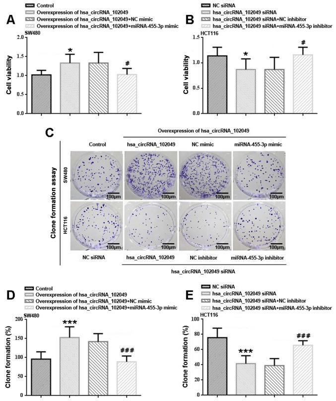 https://cdn.ncbi.nlm.nih.gov/pmc/blobs/ea5a/8815054/217adc9bc8e7/etm-23-03-11169-g03.jpg