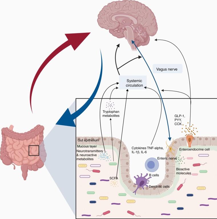 https://cdn.ncbi.nlm.nih.gov/pmc/blobs/ea5b/9113089/20c1679a3a2c/vdac054f0002.jpg