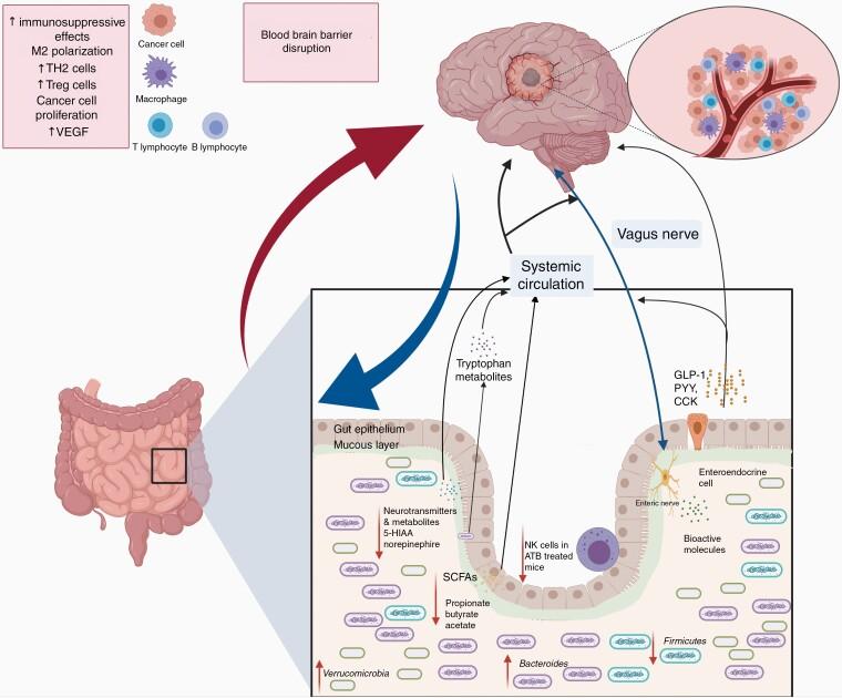 https://cdn.ncbi.nlm.nih.gov/pmc/blobs/ea5b/9113089/7eb5adda5ce5/vdac054f0003.jpg