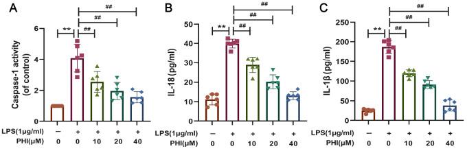 https://cdn.ncbi.nlm.nih.gov/pmc/blobs/ea5c/11986443/645456b98b5f/abbs-2024-049-t8.jpg