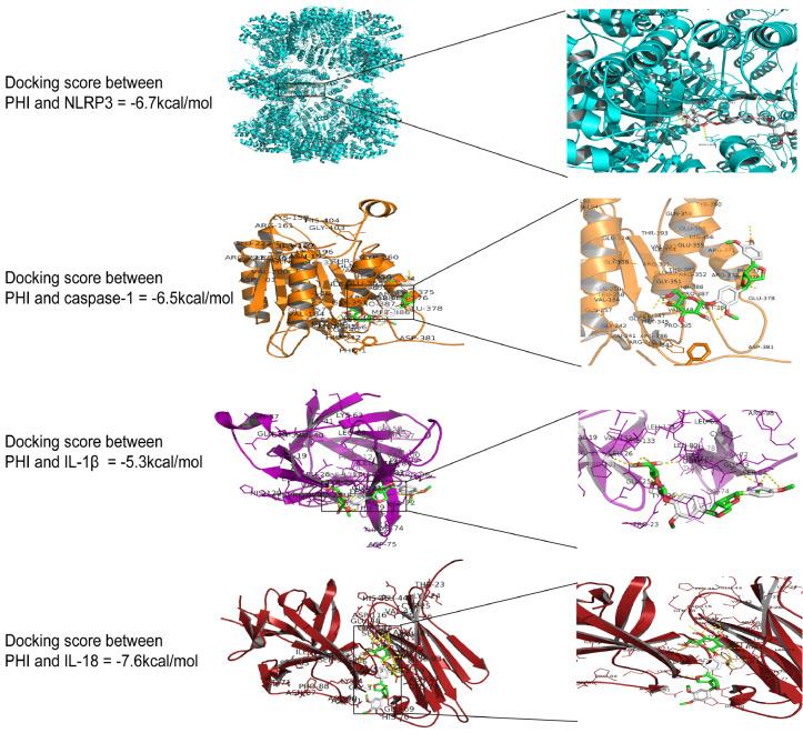 https://cdn.ncbi.nlm.nih.gov/pmc/blobs/ea5c/11986443/c2fa8808db62/abbs-2024-049-t9.jpg