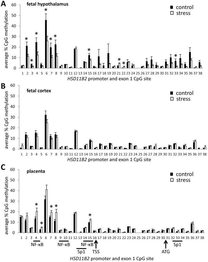 https://cdn.ncbi.nlm.nih.gov/pmc/blobs/ea5c/3383683/56e3627eaf91/pone.0039791.g003.jpg