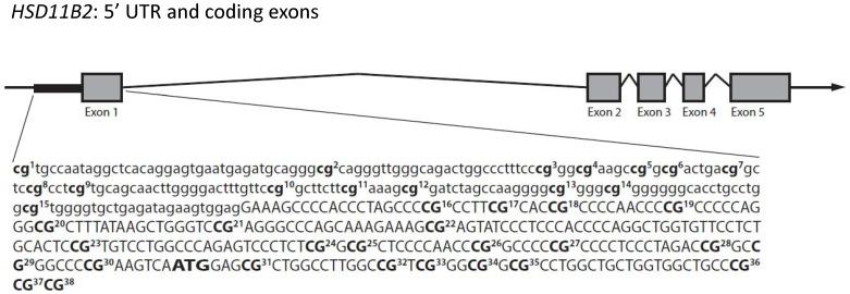 https://cdn.ncbi.nlm.nih.gov/pmc/blobs/ea5c/3383683/8fe61e12cd9d/pone.0039791.g001.jpg