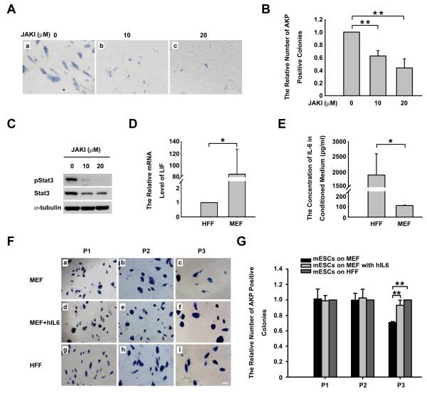 https://cdn.ncbi.nlm.nih.gov/pmc/blobs/ea5c/3580467/16639cd64432/scrt120-4.jpg
