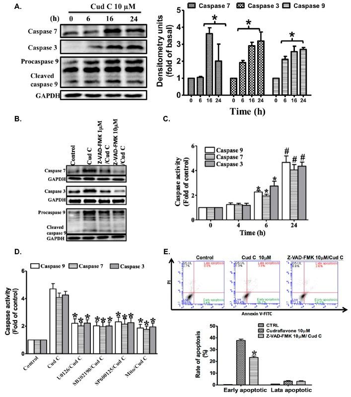 https://cdn.ncbi.nlm.nih.gov/pmc/blobs/ea5c/5535998/611ef6fc0f65/ijms-18-01508-g005.jpg