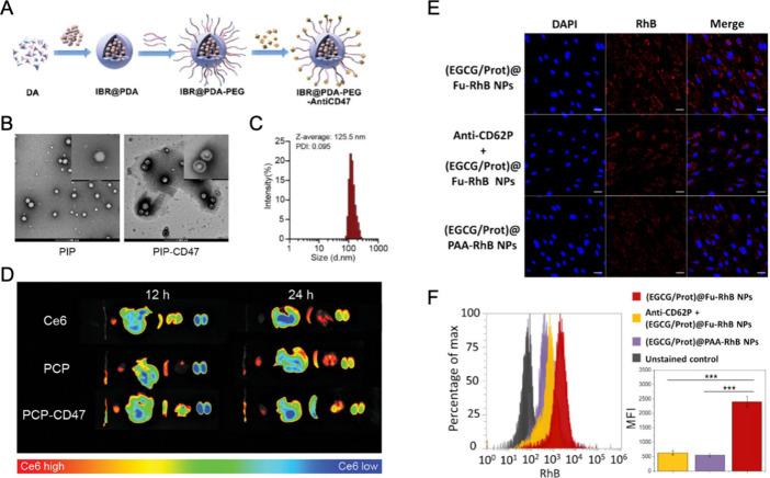 https://cdn.ncbi.nlm.nih.gov/pmc/blobs/ea5e/12163633/fa530bf51410/ao5c01865_0004.jpg