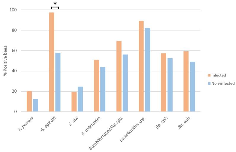 https://cdn.ncbi.nlm.nih.gov/pmc/blobs/ea5f/11051791/8feb662ea8c0/microorganisms-12-00635-g001.jpg