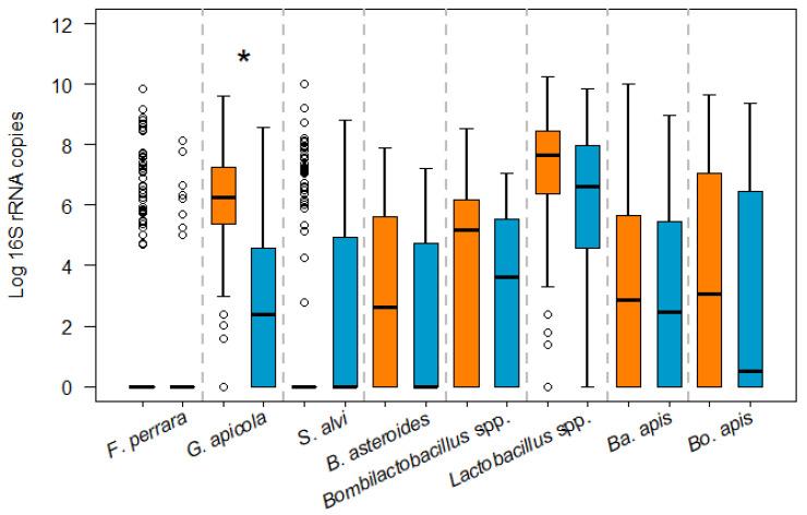 https://cdn.ncbi.nlm.nih.gov/pmc/blobs/ea5f/11051791/cbf4eed001a8/microorganisms-12-00635-g002.jpg