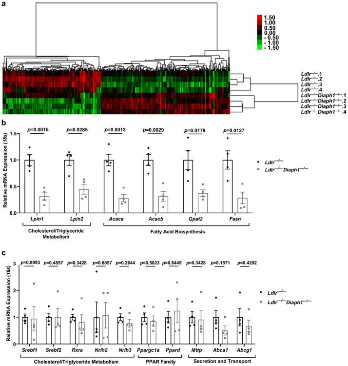 https://cdn.ncbi.nlm.nih.gov/pmc/blobs/ea5f/11309734/2608ddf4db15/nihms-1960946-f0005.jpg