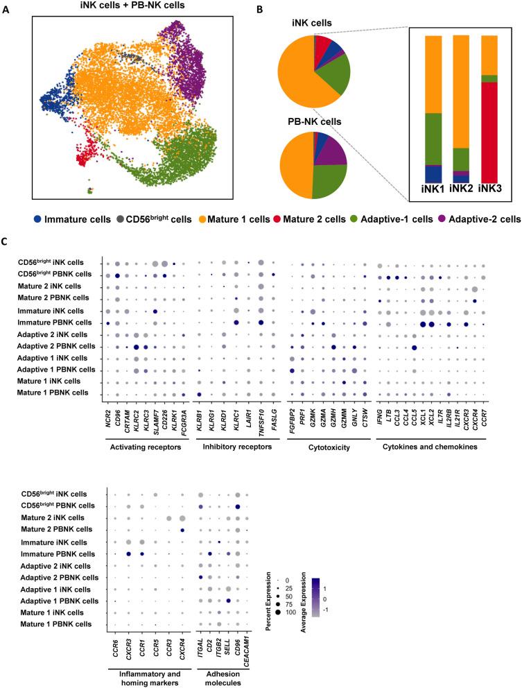https://cdn.ncbi.nlm.nih.gov/pmc/blobs/ea5f/11559060/0d5d483307fc/13287_2024_4029_Fig5_HTML.jpg