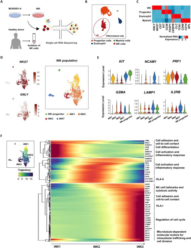 https://cdn.ncbi.nlm.nih.gov/pmc/blobs/ea5f/11559060/8941944de06b/13287_2024_4029_Fig4_HTML.jpg