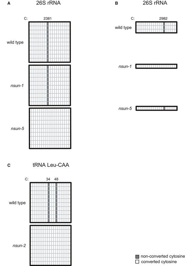 https://cdn.ncbi.nlm.nih.gov/pmc/blobs/ea5f/7957426/06331f4413d6/EMBJ-40-e105496-g009.jpg