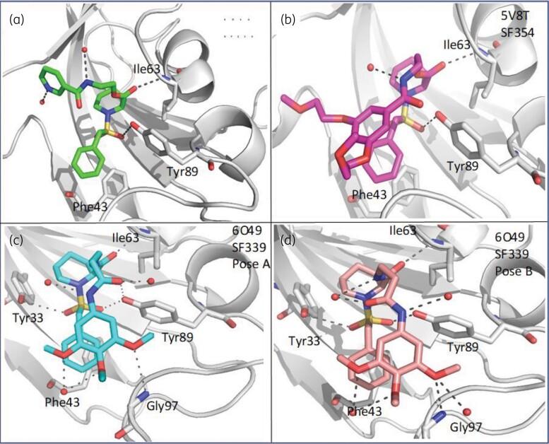 https://cdn.ncbi.nlm.nih.gov/pmc/blobs/ea61/9155639/2354f5f9b1c4/dkac065f2.jpg