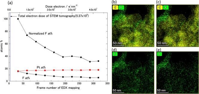 https://cdn.ncbi.nlm.nih.gov/pmc/blobs/ea62/11288185/2763538ecfe8/dfae002f7.jpg
