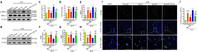 https://cdn.ncbi.nlm.nih.gov/pmc/blobs/ea63/8323669/6b2d424808e8/NRR-16-1582-g007.jpg