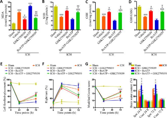 https://cdn.ncbi.nlm.nih.gov/pmc/blobs/ea63/8323669/b884adadb986/NRR-16-1582-g009.jpg