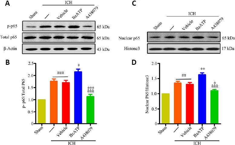 https://cdn.ncbi.nlm.nih.gov/pmc/blobs/ea63/8323669/b9587efd6b6f/NRR-16-1582-g006.jpg