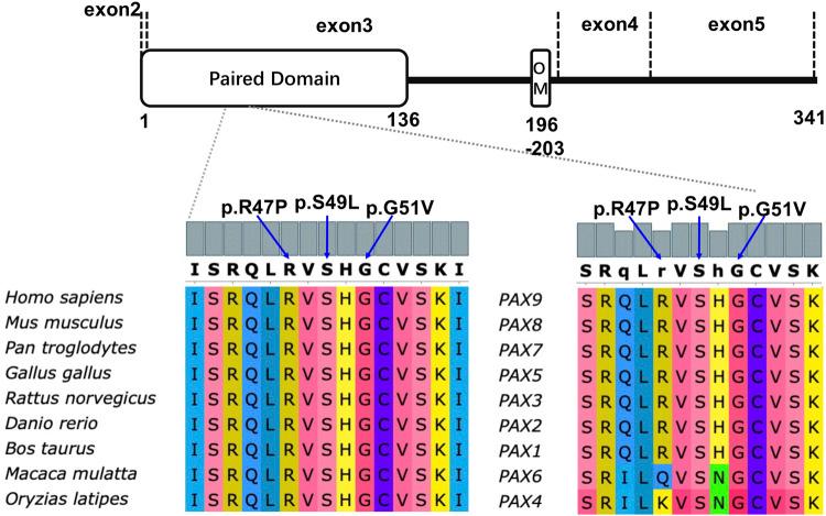 https://cdn.ncbi.nlm.nih.gov/pmc/blobs/ea64/10086135/dfc10fecd80a/fgene-14-1142776-g002.jpg