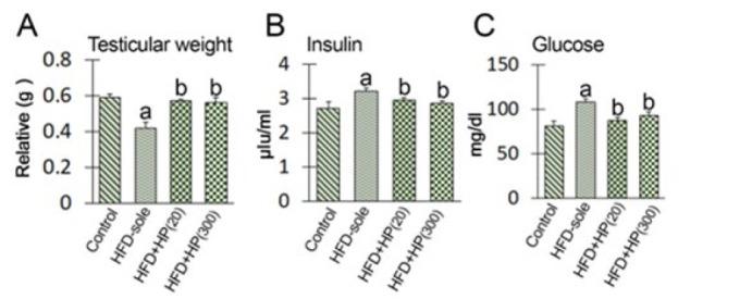 https://cdn.ncbi.nlm.nih.gov/pmc/blobs/ea65/11756727/54143742bec6/ijbms-28-158-g003.jpg