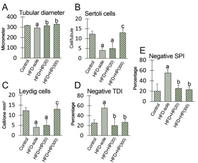 https://cdn.ncbi.nlm.nih.gov/pmc/blobs/ea65/11756727/5a10ed74d56d/ijbms-28-158-g004.jpg