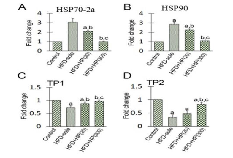 https://cdn.ncbi.nlm.nih.gov/pmc/blobs/ea65/11756727/99639b691448/ijbms-28-158-g006.jpg