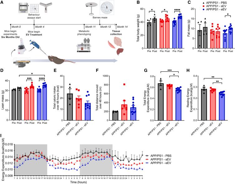 https://cdn.ncbi.nlm.nih.gov/pmc/blobs/ea65/11787611/3592a2638b30/gr6.jpg