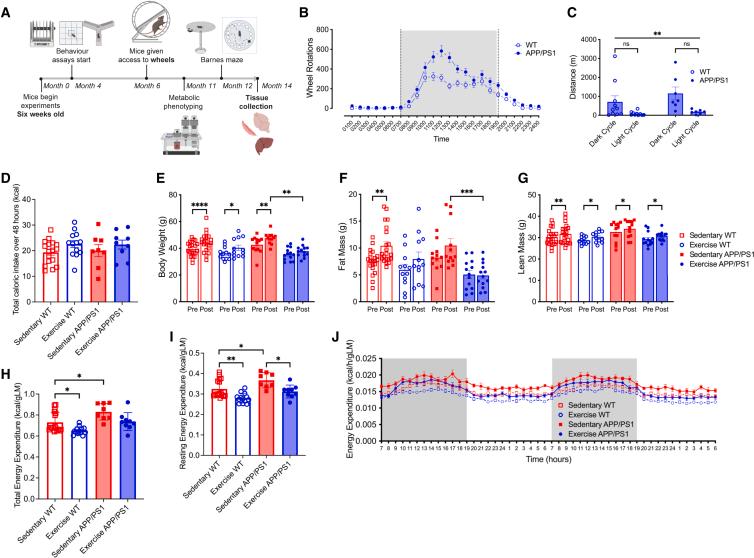 https://cdn.ncbi.nlm.nih.gov/pmc/blobs/ea65/11787611/c372f3806ff1/gr1.jpg