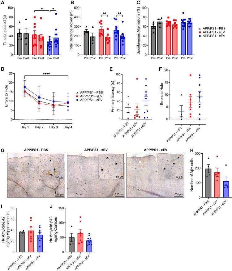 https://cdn.ncbi.nlm.nih.gov/pmc/blobs/ea65/11787611/d93d364b39f3/gr7.jpg