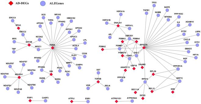 https://cdn.ncbi.nlm.nih.gov/pmc/blobs/ea66/5656592/a0eedfe88c73/41598_2017_13700_Fig2_HTML.jpg